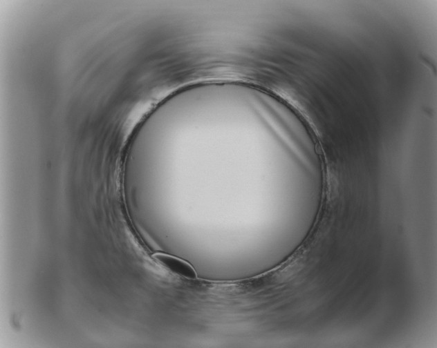 X0000103271477200809122125