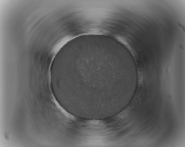 X0000103271479200809122125