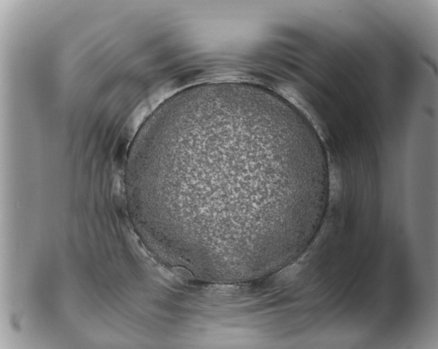 X0000103271481200809122125