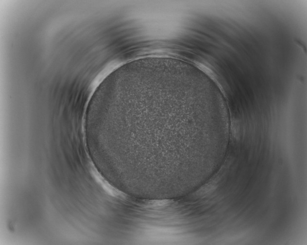 X0000103271482200809122125