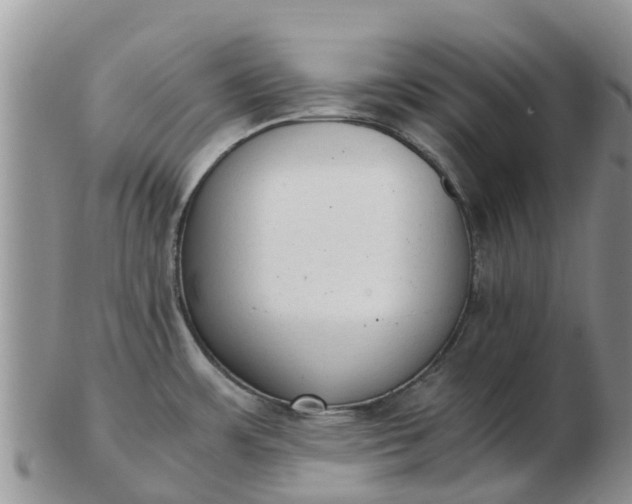 X0000103271483200809122125