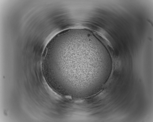 X0000103271484200809122125