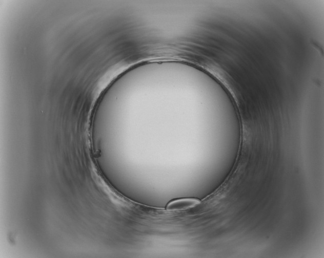 X0000103271485200809122125