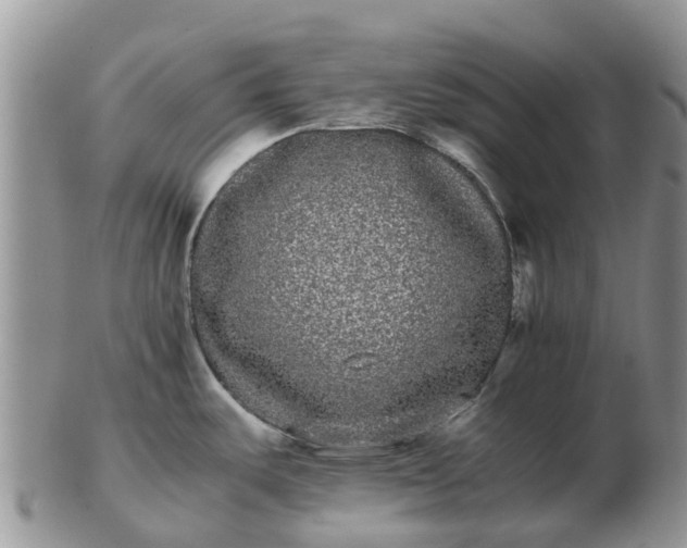 X0000103271487200809122125