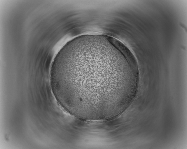 X0000103271488200809122125
