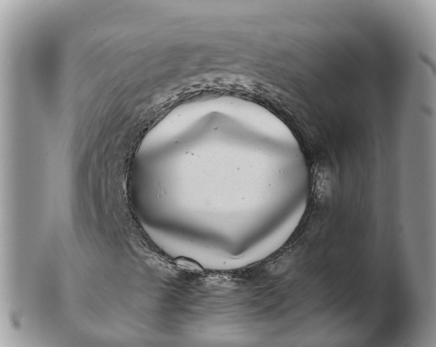 X0000103271489200809122124