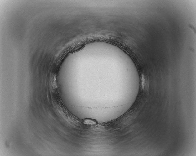 X0000103271492200809122124