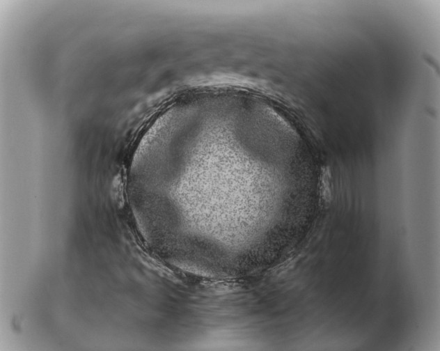 X0000103271493200809122124