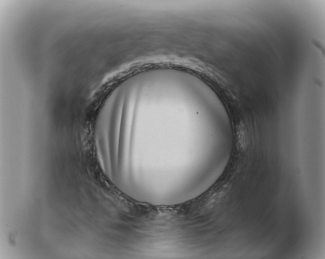 X0000103271494200809122124