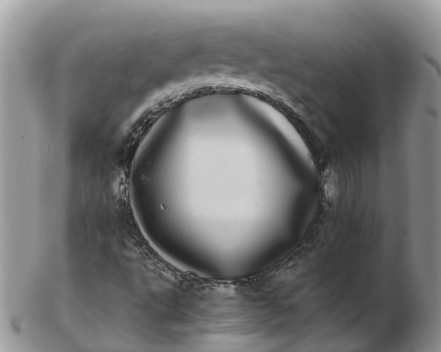 X0000103271495200809122124