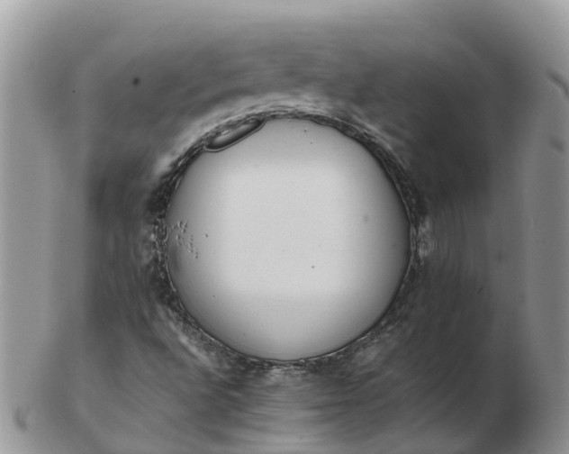 X0000103271496200809122124