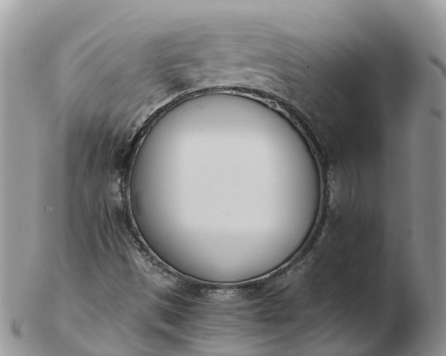 X0000103271497200809122124