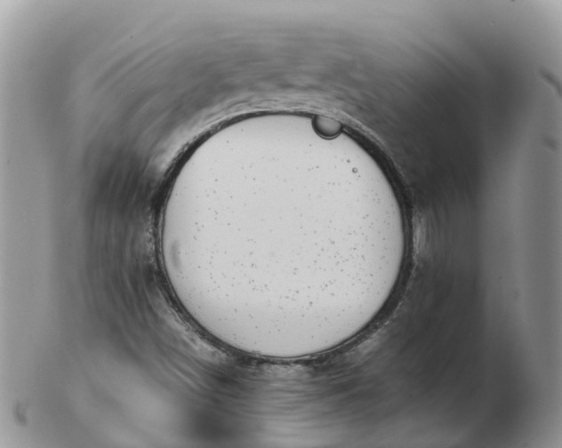 X0000103271498200809122124