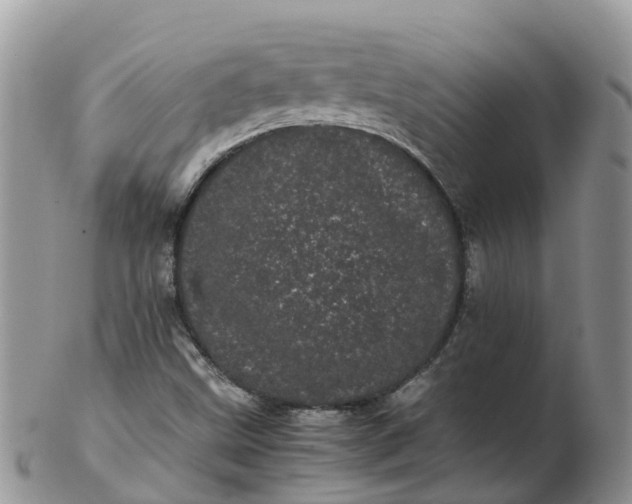 X0000103271499200809122124