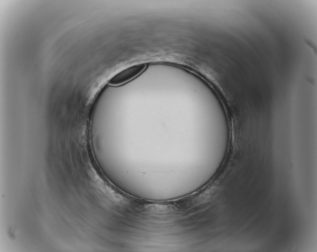 X0000103271500200809122124