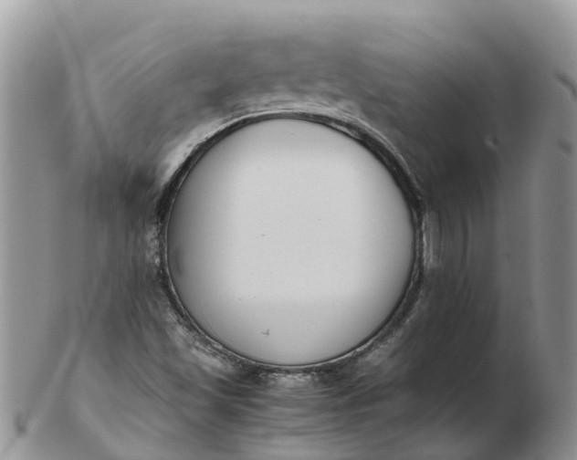 X0000103271501200809122124