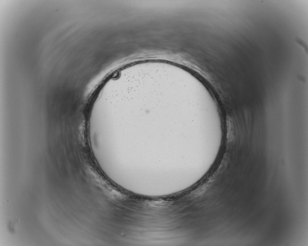 X0000103271502200809122124