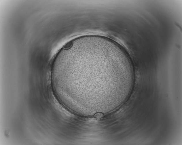 X0000103271504200809122124
