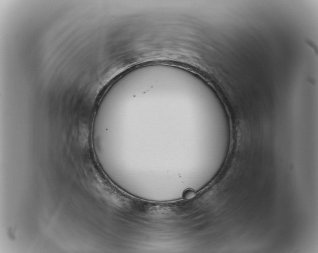 X0000103271505200809122124