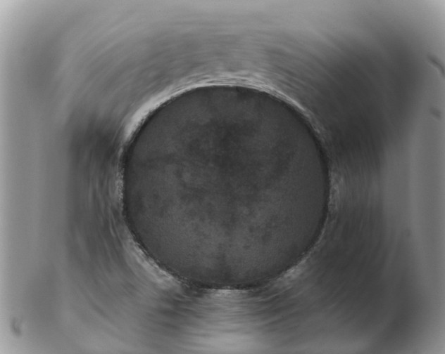 X0000103271506200809122124