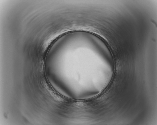X0000103271507200809122124