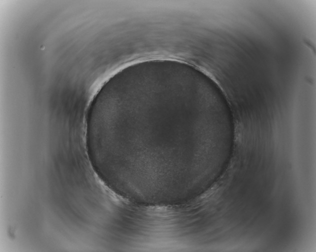X0000103271508200809122124