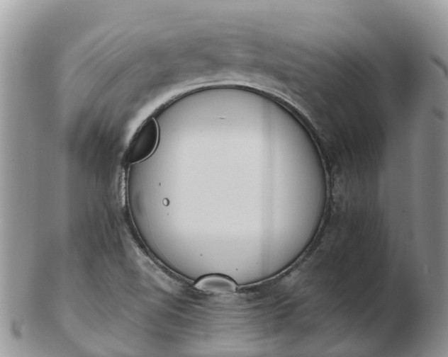 X0000103271510200809122124