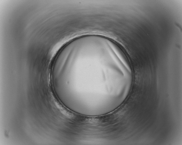 X0000103271511200809122124