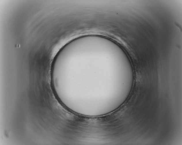 X0000103271512200809122124