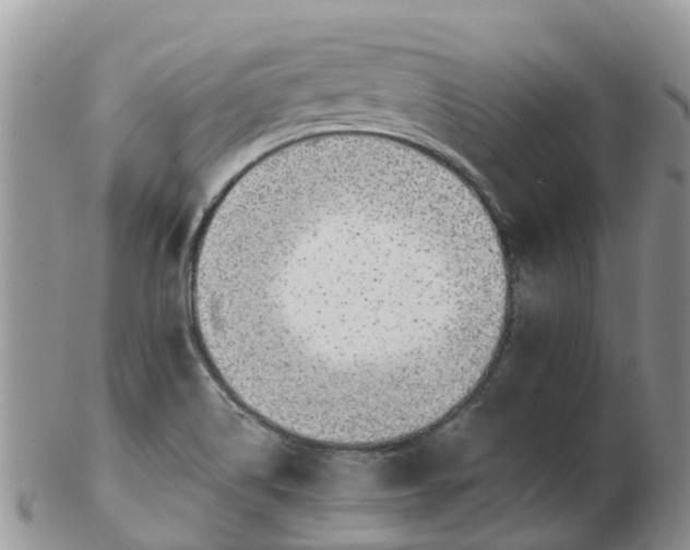 X0000103271514200809122124