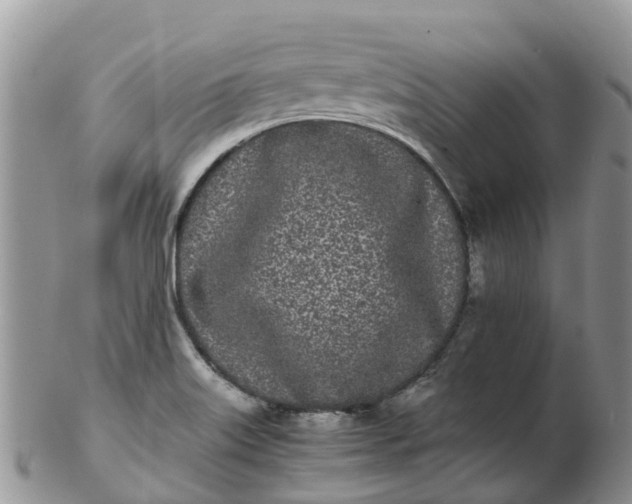 X0000103271515200809122124