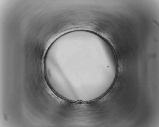 X0000103271516200809122124