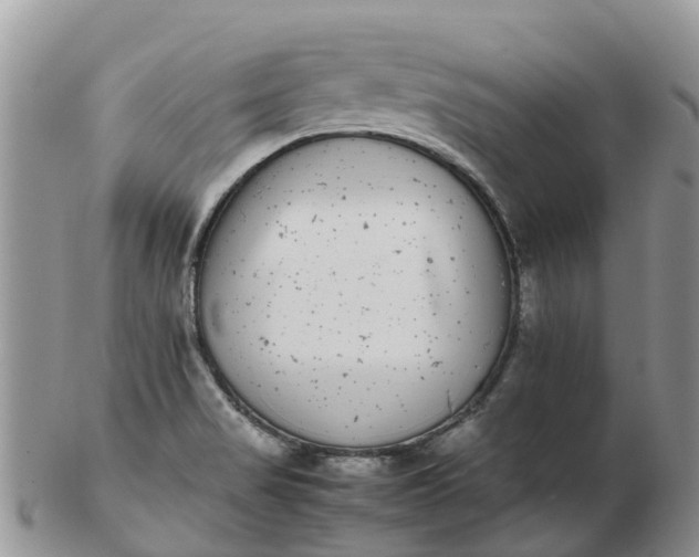 X0000103271517200809122124