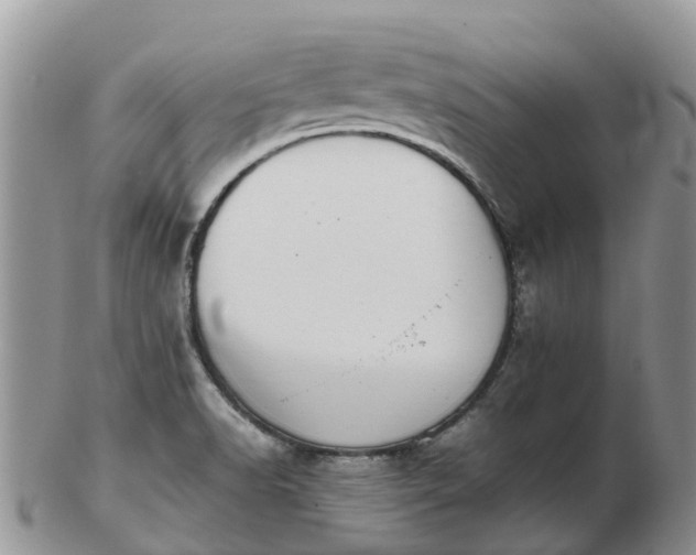 X0000103271518200809122124