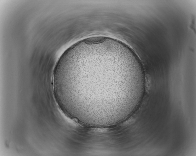 X0000103271519200809122124