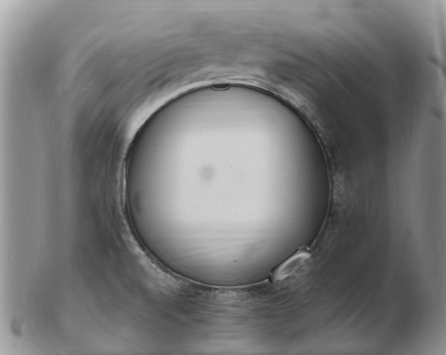 X0000103271520200809122124