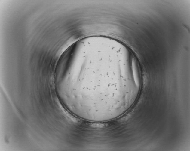 X0000103271521200809122124