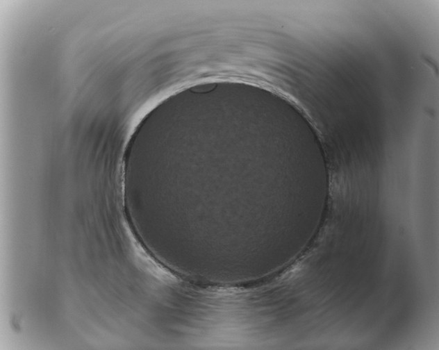 X0000103271522200809122124