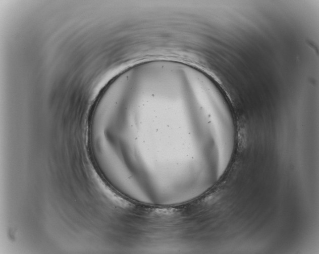 X0000103271523200809122124