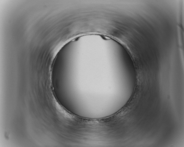 X0000103271524200809122124