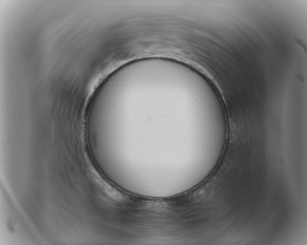 X0000103271525200809122124