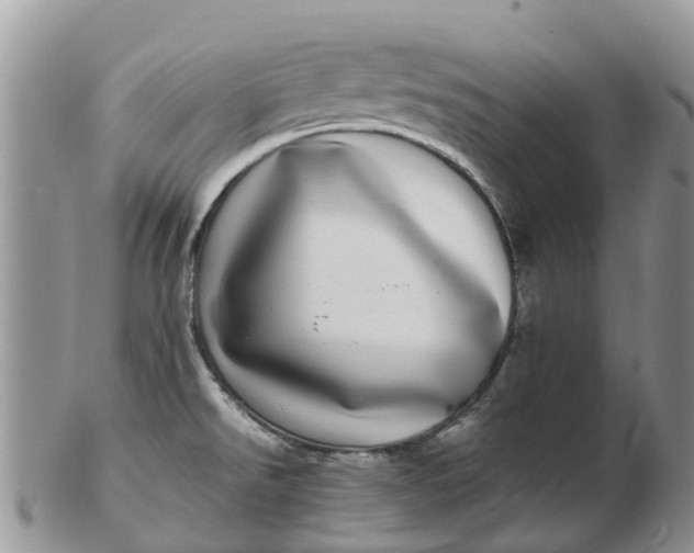 X0000103271526200809122124