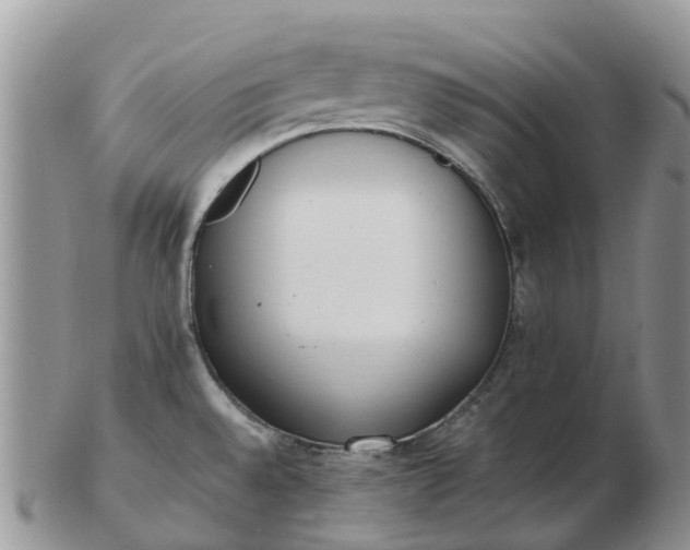 X0000103271528200809122124