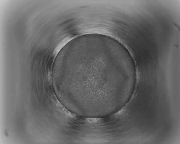 X0000103271529200809122124