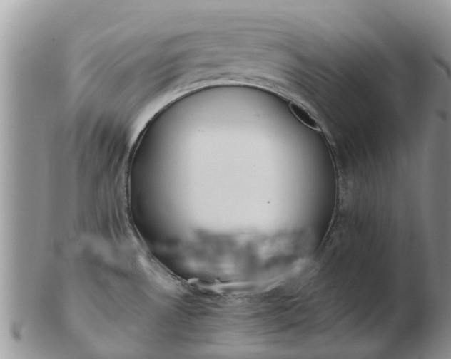 X0000103271530200809122124