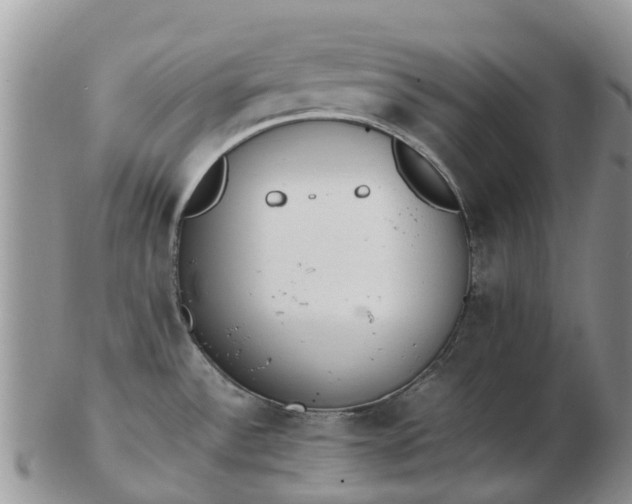 X0000103271532200809122125