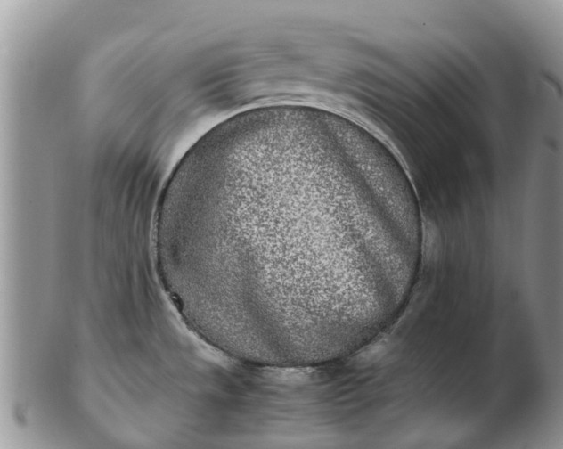 X0000103271533200809122125