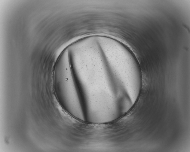 X0000103271534200809122125