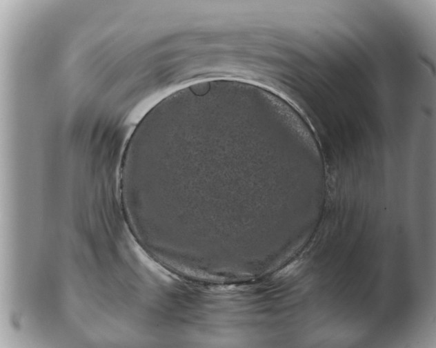 X0000103271535200809122125