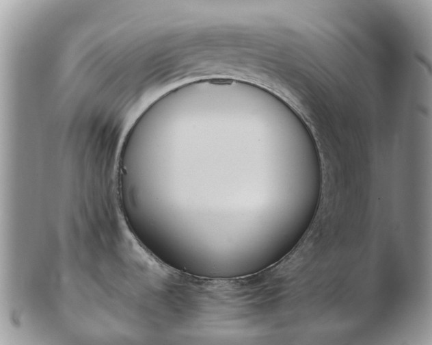 X0000103271536200809122125